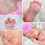 Photographer Gainesville